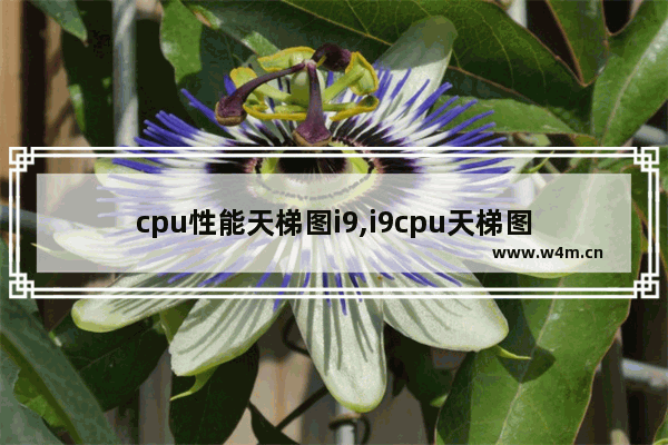 cpu性能天梯图i9,i9cpu天梯图