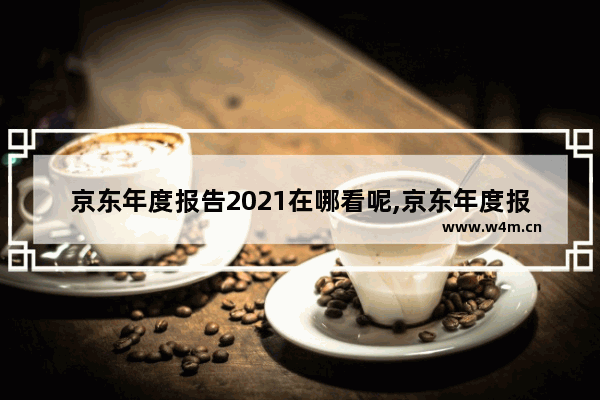 京东年度报告2021在哪看呢,京东年度报告2021在哪看呀