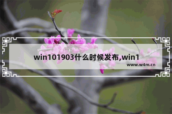 win101903什么时候发布,win101909版本千万别更新