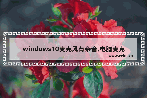 windows10麦克风有杂音,电脑麦克风有杂音怎么消除w10