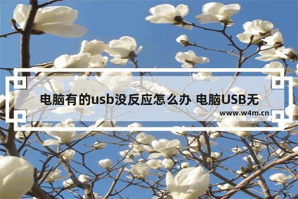 电脑有的usb没反应怎么办 电脑USB无响应怎么处理