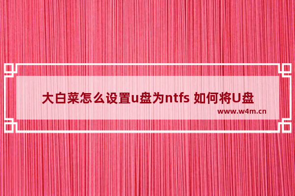 大白菜怎么设置u盘为ntfs 如何将U盘格式化为NTFS？