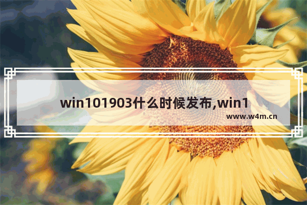 win101903什么时候发布,win101909版本千万别更新