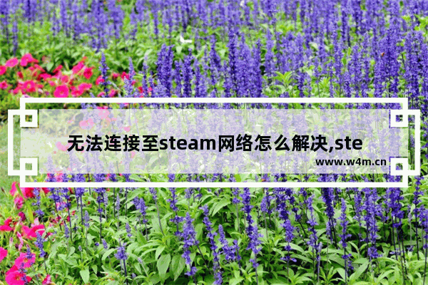 无法连接至steam网络怎么解决,steam错误无法连接至steam网络