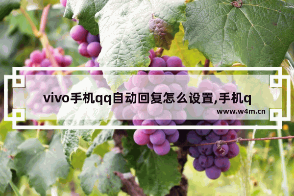 vivo手机qq自动回复怎么设置,手机qq自动回复怎么设置给一个人