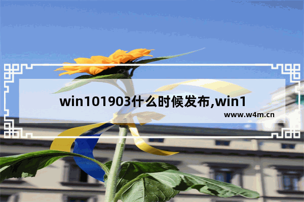 win101903什么时候发布,win101909版本千万别更新