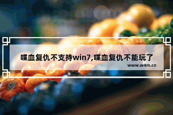 喋血复仇不支持win7,喋血复仇不能玩了