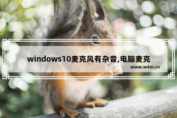 windows10麦克风有杂音,电脑麦克风有杂音怎么消除w10