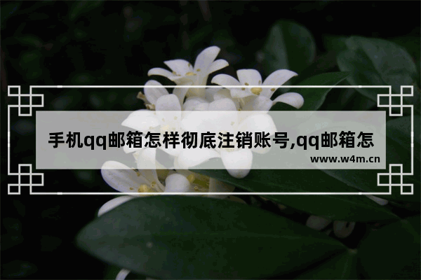 手机qq邮箱怎样彻底注销账号,qq邮箱怎么注销