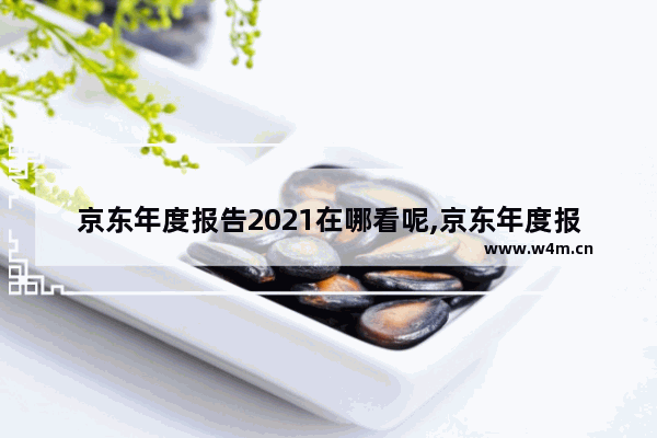 京东年度报告2021在哪看呢,京东年度报告2021在哪看呀