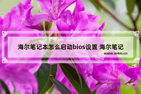 海尔笔记本怎么启动bios设置 海尔笔记本BIOS设置启动方法