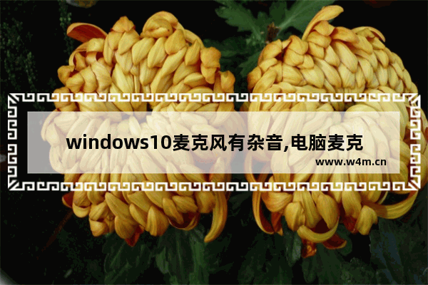 windows10麦克风有杂音,电脑麦克风有杂音怎么消除w10