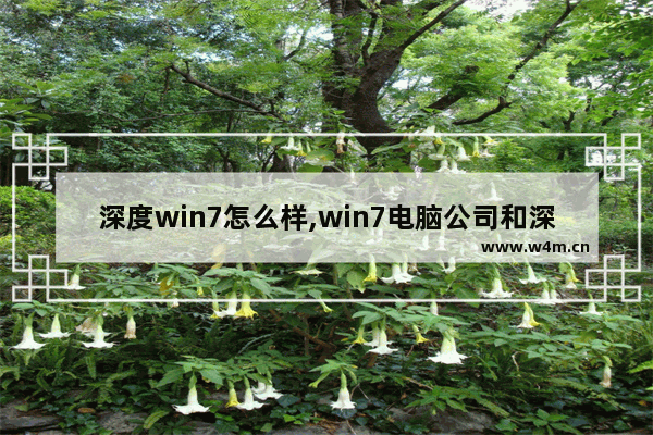 深度win7怎么样,win7电脑公司和深度技术哪个好