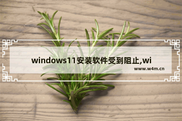 windows11安装软件受到阻止,win11阻止软件安装怎么办