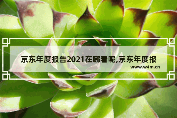 京东年度报告2021在哪看呢,京东年度报告2021在哪看呀