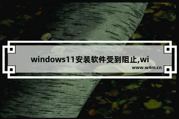 windows11安装软件受到阻止,win11阻止软件安装怎么办