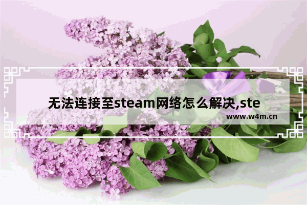 无法连接至steam网络怎么解决,steam错误无法连接至steam网络