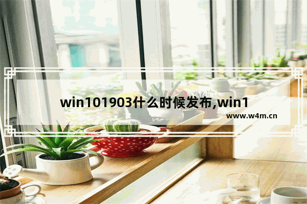 win101903什么时候发布,win101909版本千万别更新