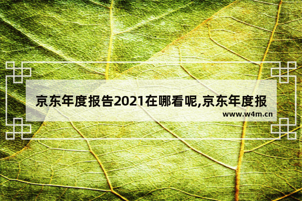 京东年度报告2021在哪看呢,京东年度报告2021在哪看呀