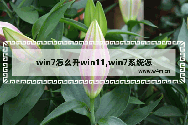 win7怎么升win11,win7系统怎么升级win11