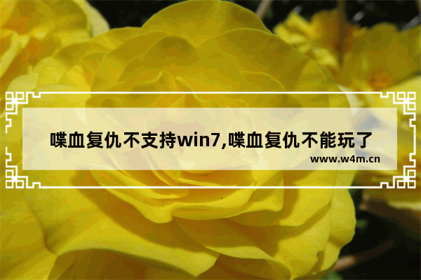 喋血复仇不支持win7,喋血复仇不能玩了