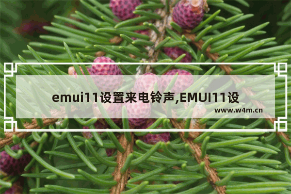 emui11设置来电铃声,EMUI11设置默认闹钟铃声