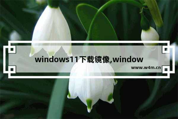 windows11下载镜像,windows11镜像文件下载官网