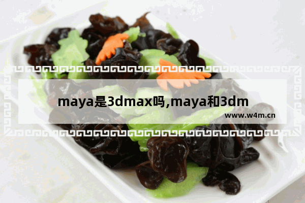 maya是3dmax吗,maya和3dmax哪个简单