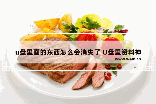 u盘里面的东西怎么会消失了 U盘里资料神秘失踪！