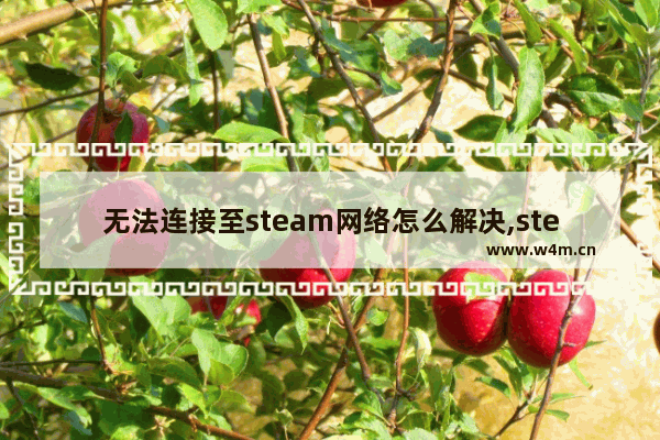 无法连接至steam网络怎么解决,steam错误无法连接至steam网络