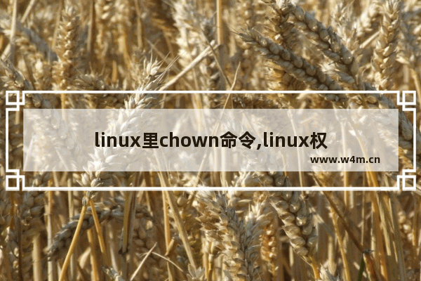 linux里chown命令,linux权限chown