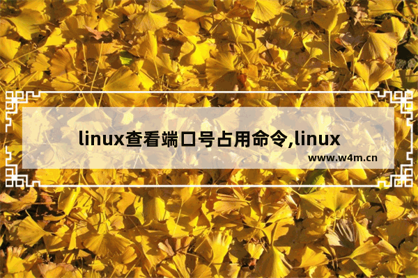 linux查看端口号占用命令,linux查看端口占用情况命令