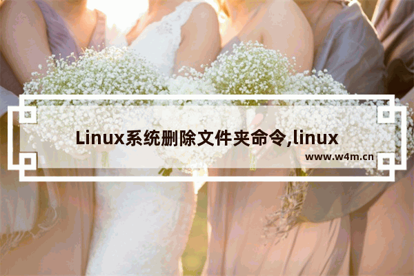 Linux系统删除文件夹命令,linux系统中删除文件的命令