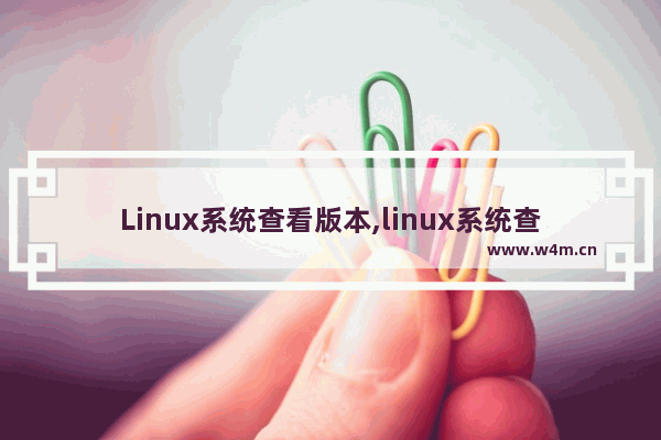 Linux系统查看版本,linux系统查看系统版本,Linux查看系统版本的方法汇总