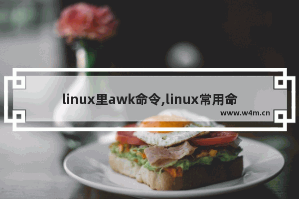 linux里awk命令,linux常用命令awk