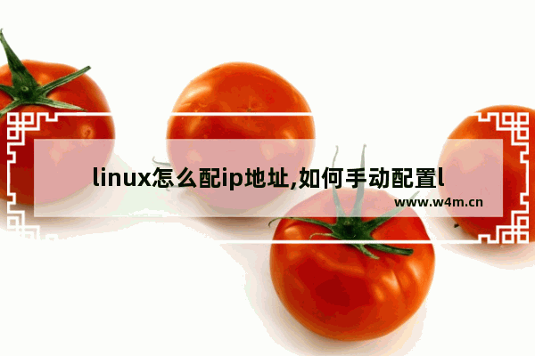 linux怎么配ip地址,如何手动配置linux的ip地址