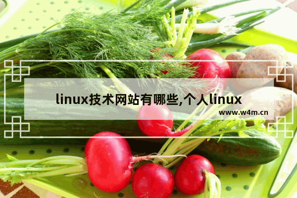 linux技术网站有哪些,个人linux推荐,优秀Linux站点