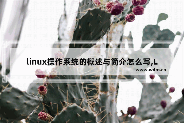 linux操作系统的概述与简介怎么写,Linux操作系统概述