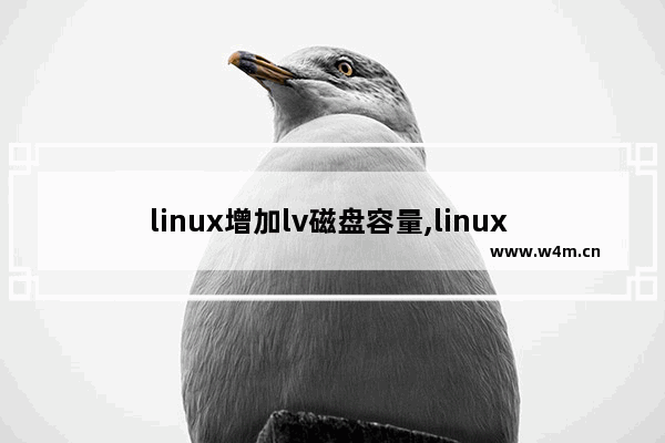 linux增加lv磁盘容量,linux lvm扩容,Linux里LVM磁盘扩容详细步骤