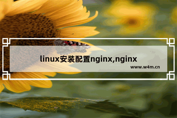 linux安装配置nginx,nginx环境搭建部署 linux