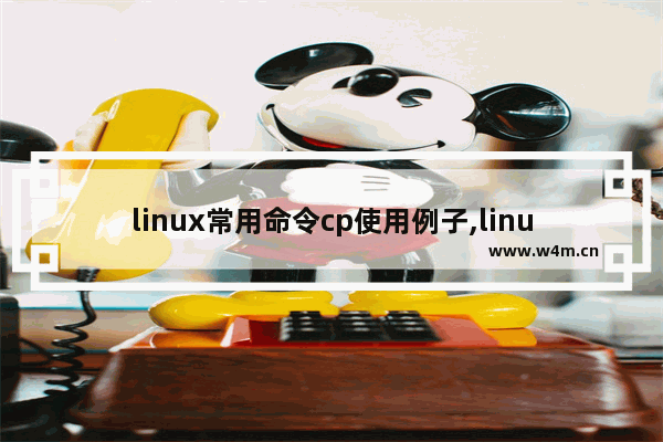 linux常用命令cp使用例子,linux cp命令用法,Linux 的cp命令及示例详解