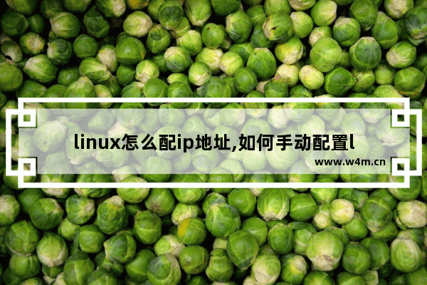 linux怎么配ip地址,如何手动配置linux的ip地址