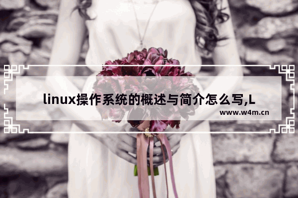 linux操作系统的概述与简介怎么写,Linux操作系统概述