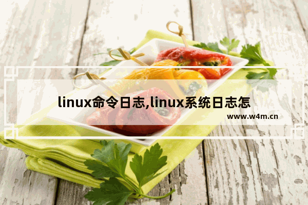 linux命令日志,linux系统日志怎么看