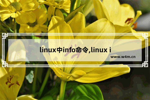 linux中info命令,linux info,Linux中的info指令详解