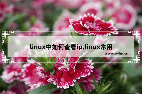 linux中如何查看ip,linux常用命令查看ip,Linux查看ip的实例方法