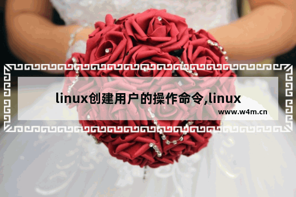 linux创建用户的操作命令,linux创建用户的操作命令有哪些