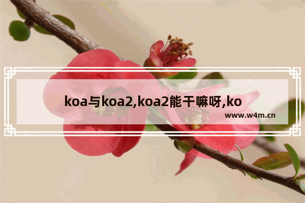 koa与koa2,koa2能干嘛呀,koa2 从入门到精通(小结)