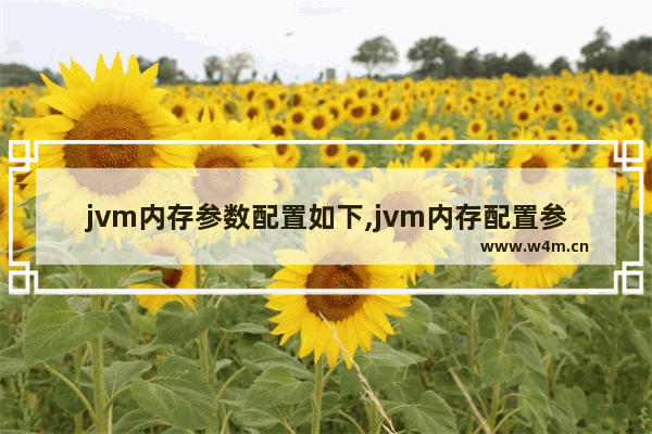 jvm内存参数配置如下,jvm内存配置参数 最小内存值