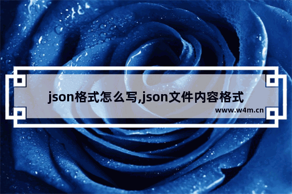 json格式怎么写,json文件内容格式,json文件书写格式详解